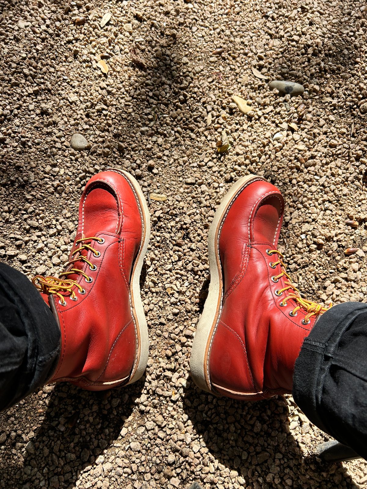 Photo by stepped_in_dookie_again on November 6, 2024 of the Red Wing 6-Inch Classic Moc in S.B. Foot Oro-Russet Portage.
