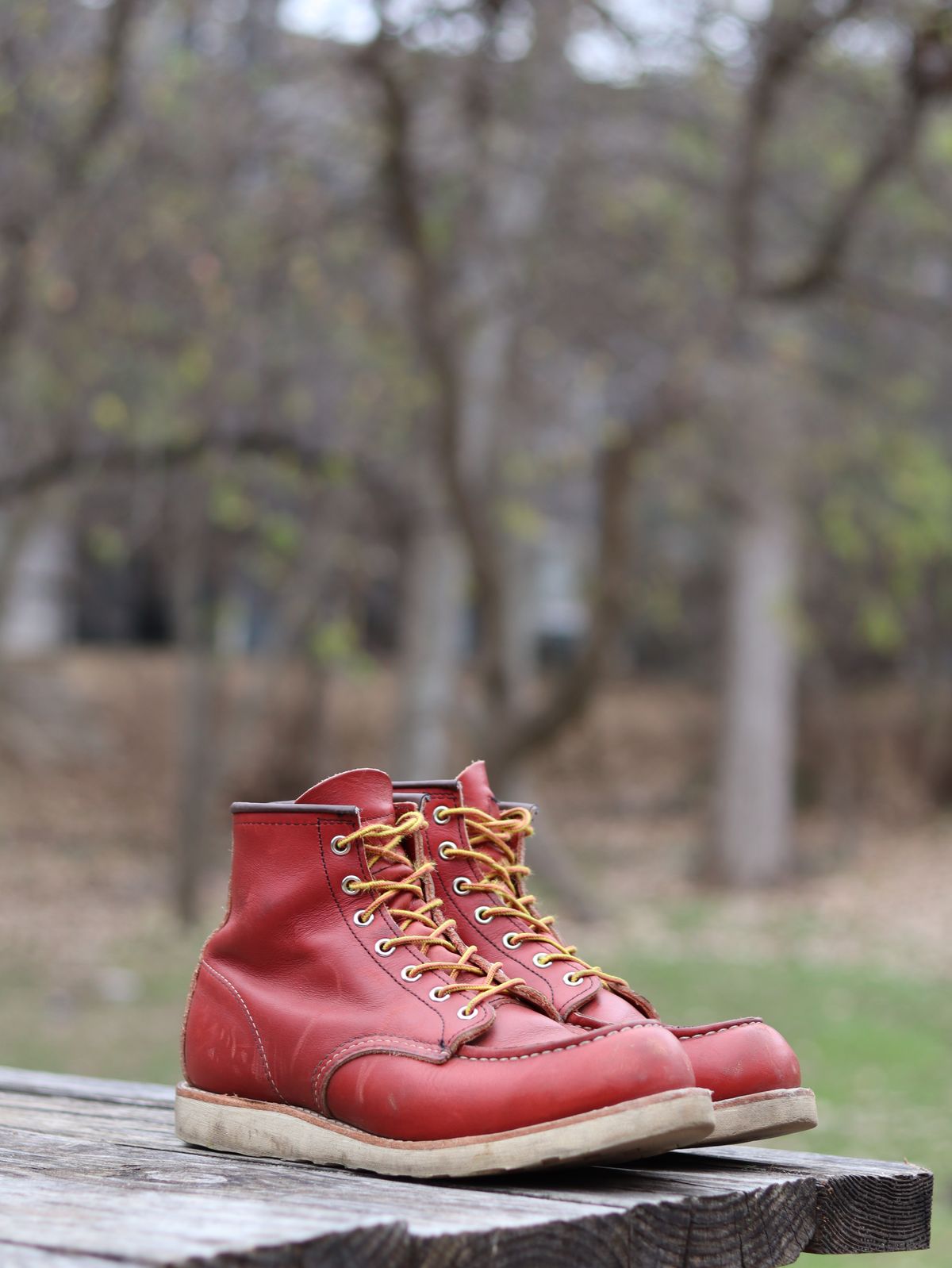 Photo by stepped_in_dookie_again on January 2, 2025 of the Red Wing 6-Inch Classic Moc in S.B. Foot Oro-Russet Portage.