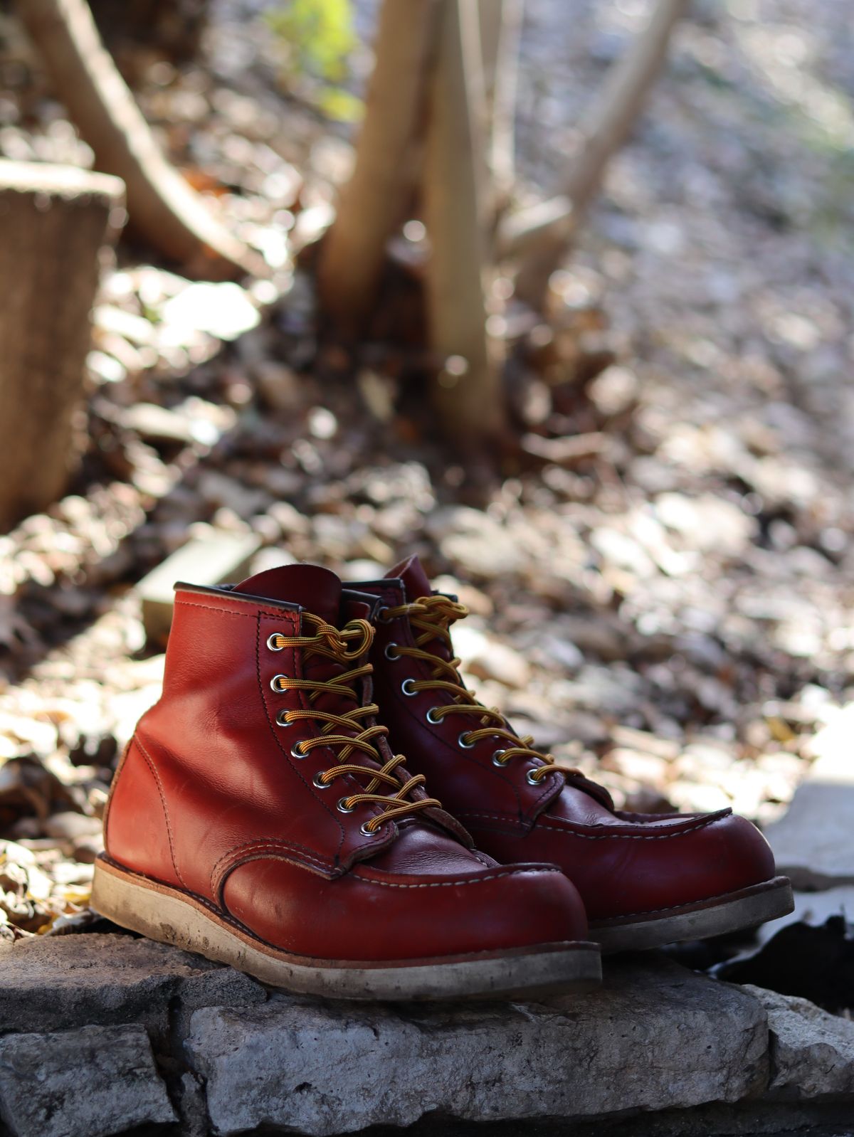 Photo by stepped_in_dookie_again on February 3, 2025 of the Red Wing 6-Inch Classic Moc in S.B. Foot Oro-Russet Portage.