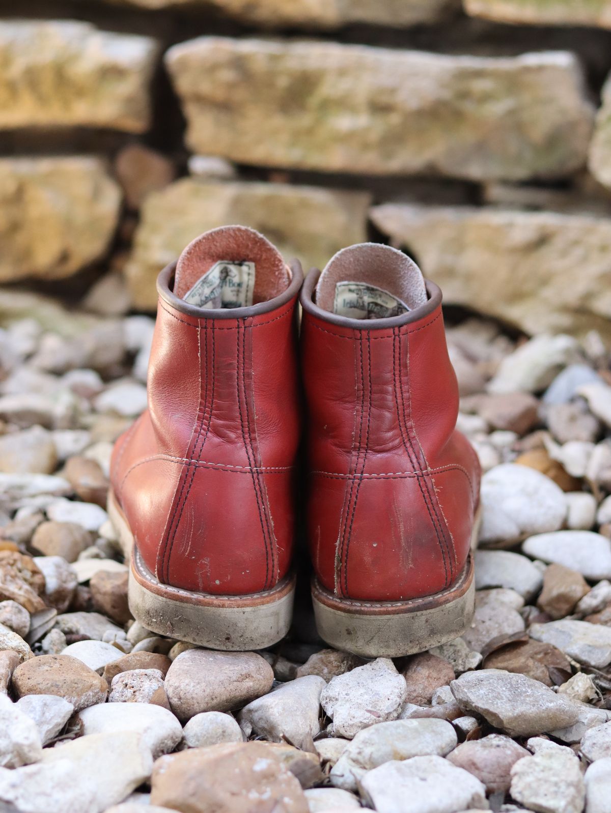 Photo by stepped_in_dookie_again on February 3, 2025 of the Red Wing 6-Inch Classic Moc in S.B. Foot Oro-Russet Portage.