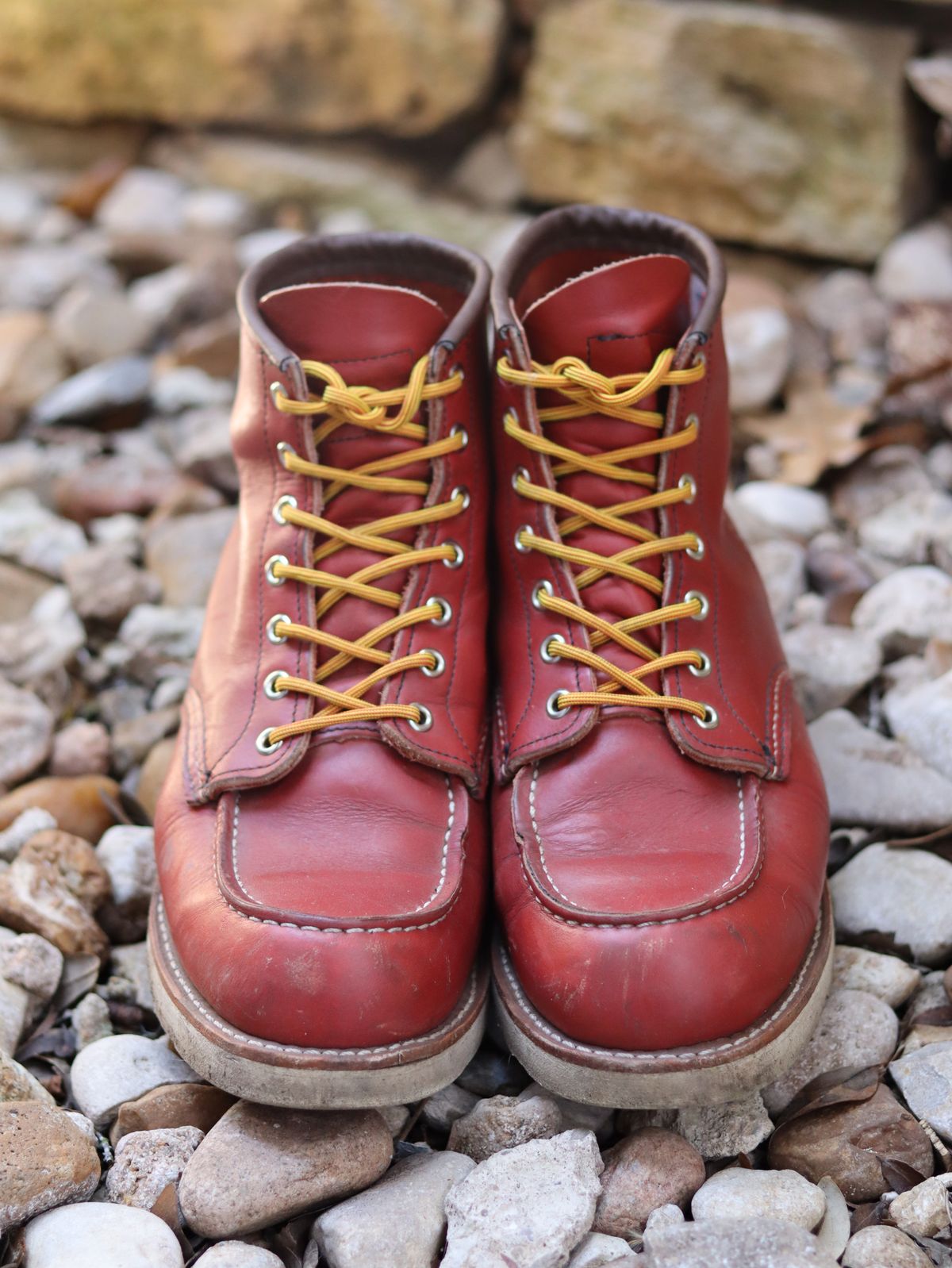 Photo by stepped_in_dookie_again on February 3, 2025 of the Red Wing 6-Inch Classic Moc in S.B. Foot Oro-Russet Portage.