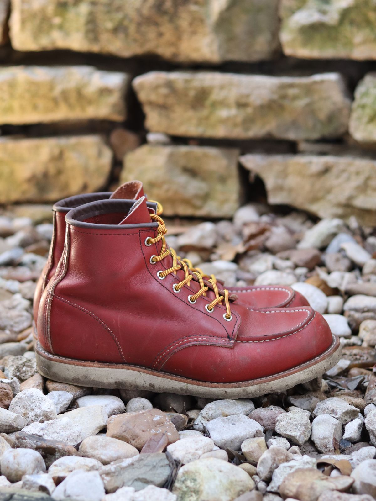 Photo by stepped_in_dookie_again on February 3, 2025 of the Red Wing 6-Inch Classic Moc in S.B. Foot Oro-Russet Portage.