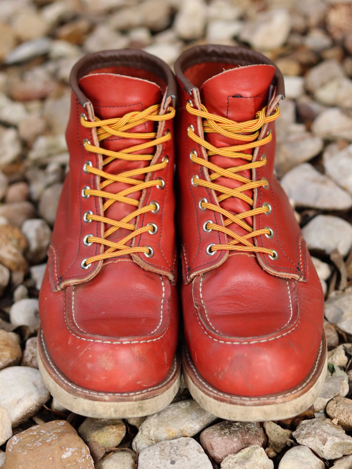 Photo by stepped_in_dookie_again on March 4, 2025 of the Red Wing 6-Inch Classic Moc in S.B. Foot Oro-Russet Portage.