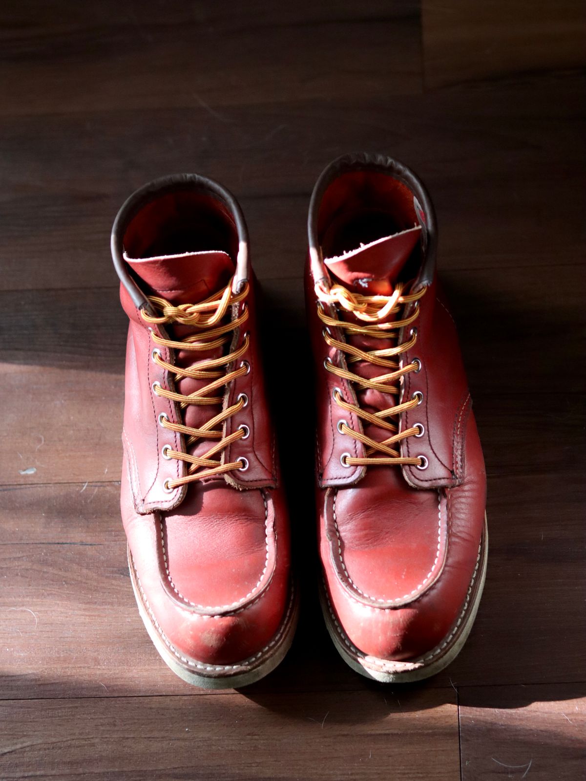 Photo by stepped_in_dookie_again on April 3, 2025 of the Red Wing 6-Inch Classic Moc in S.B. Foot Oro-Russet Portage.