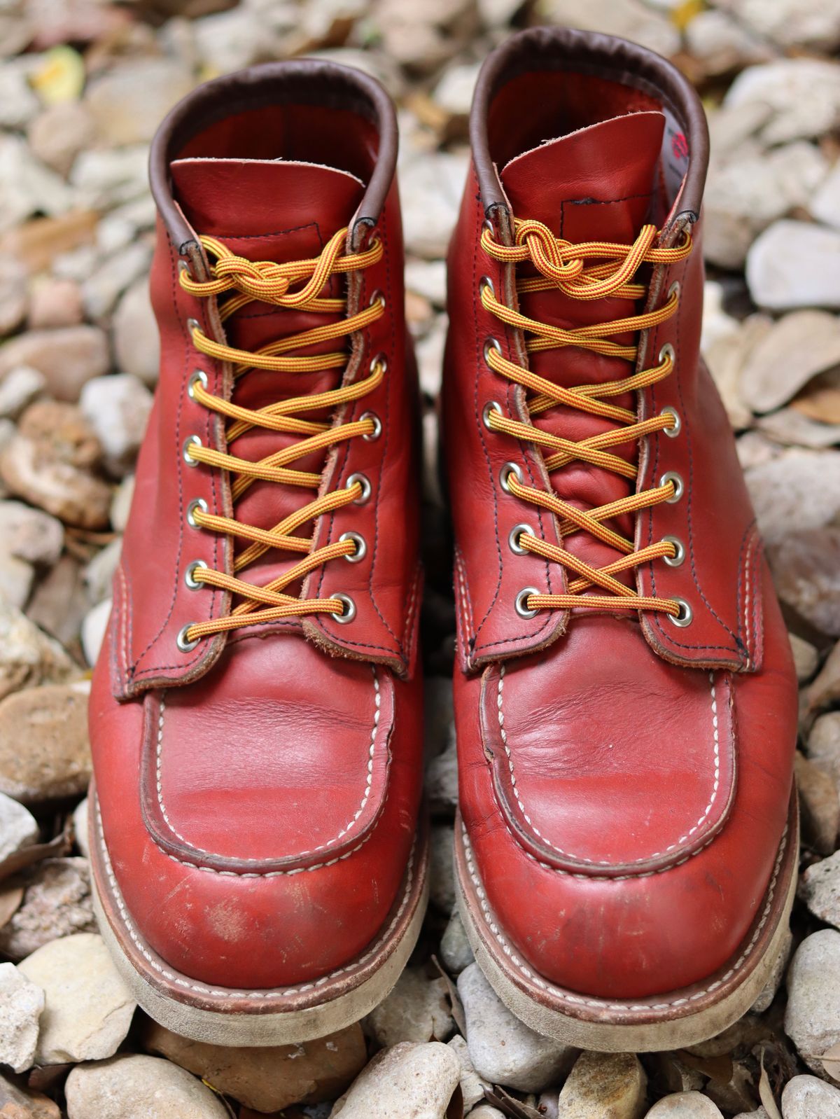 Photo by stepped_in_dookie_again on April 1, 2025 of the Red Wing 6-Inch Classic Moc in S.B. Foot Oro-Russet Portage.