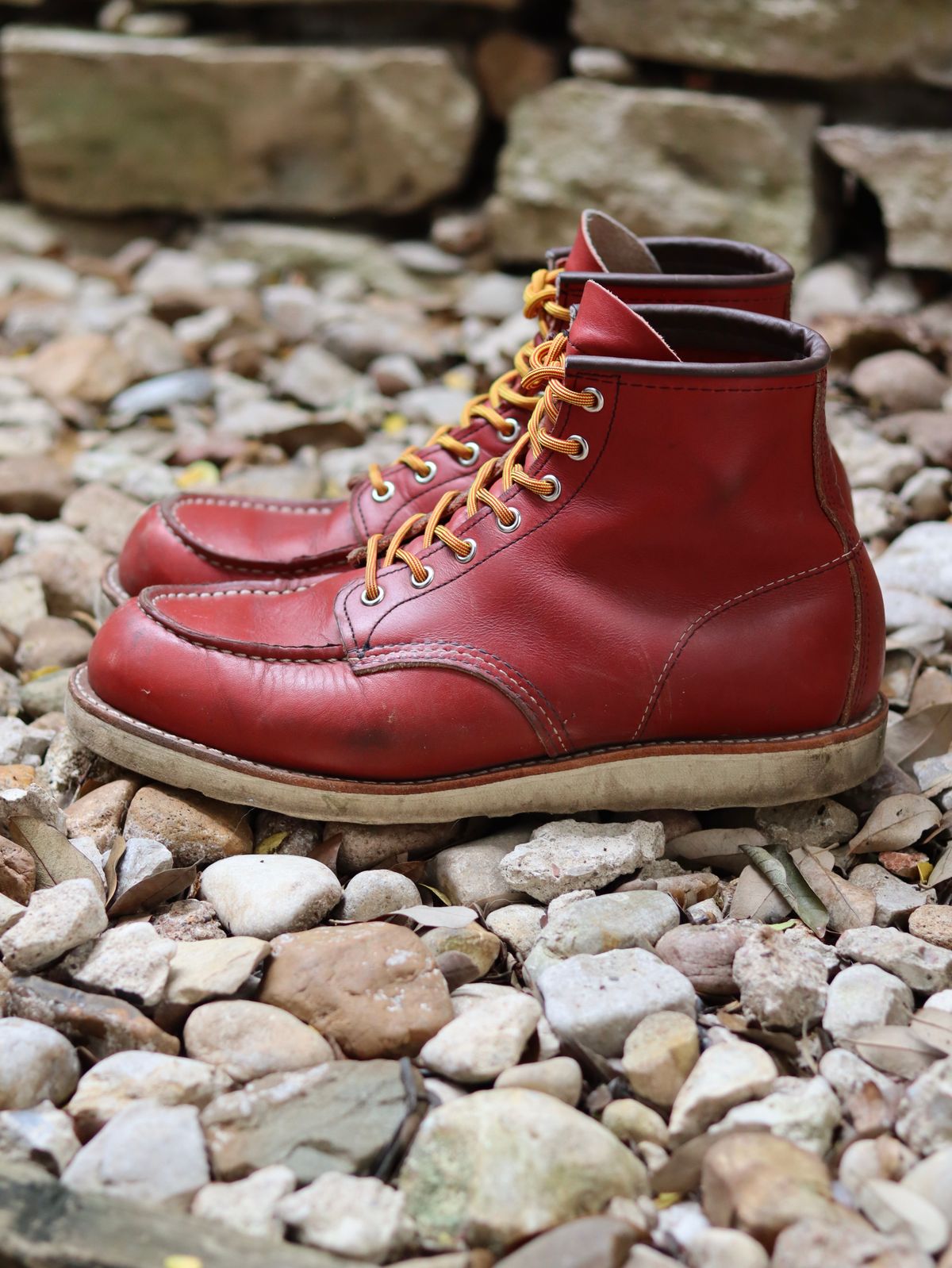 Photo by stepped_in_dookie_again on April 1, 2025 of the Red Wing 6-Inch Classic Moc in S.B. Foot Oro-Russet Portage.