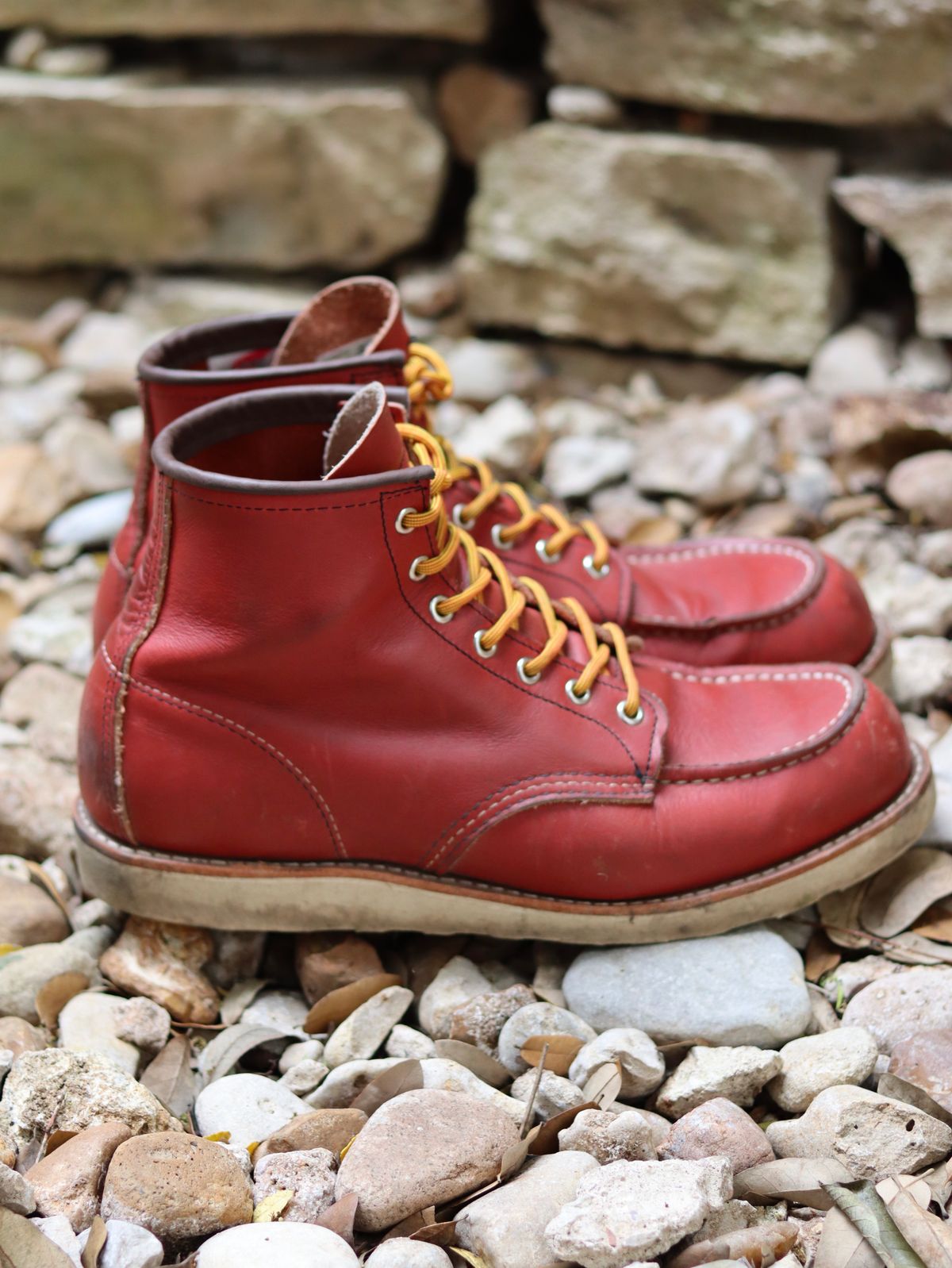 Photo by stepped_in_dookie_again on April 1, 2025 of the Red Wing 6-Inch Classic Moc in S.B. Foot Oro-Russet Portage.