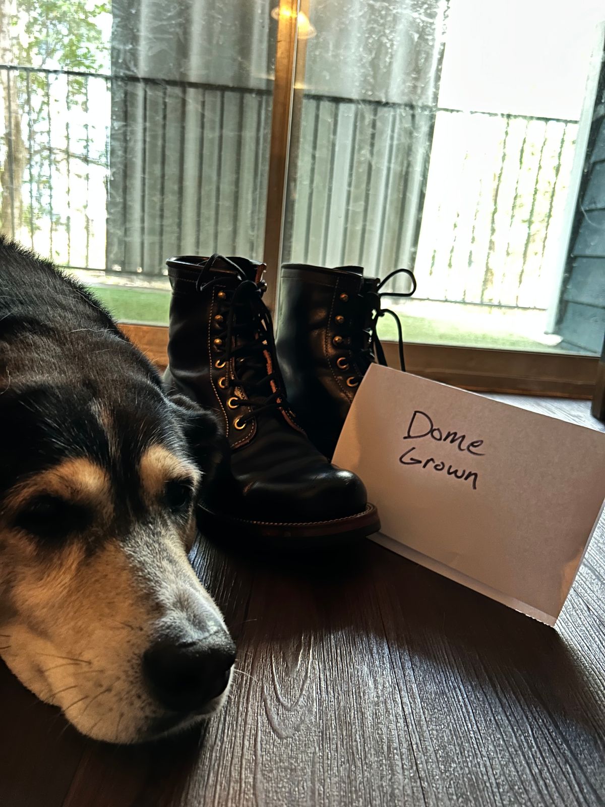 Photo by stepped_in_dookie_again on November 4, 2023 of the Quan Shoemaker Unknown Model in Maryam Black Horsebutt.