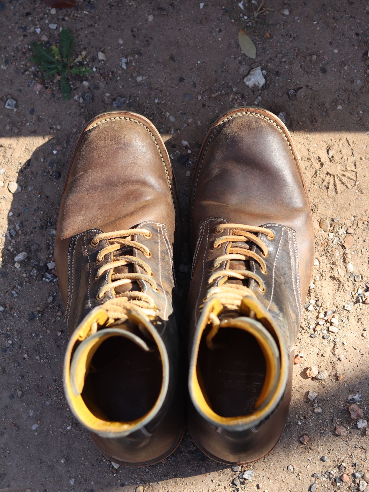 Photo by stepped_in_dookie_again on March 3, 2026 of the Sagara Boondocker in Maryam Rovescio Sego Oliva.