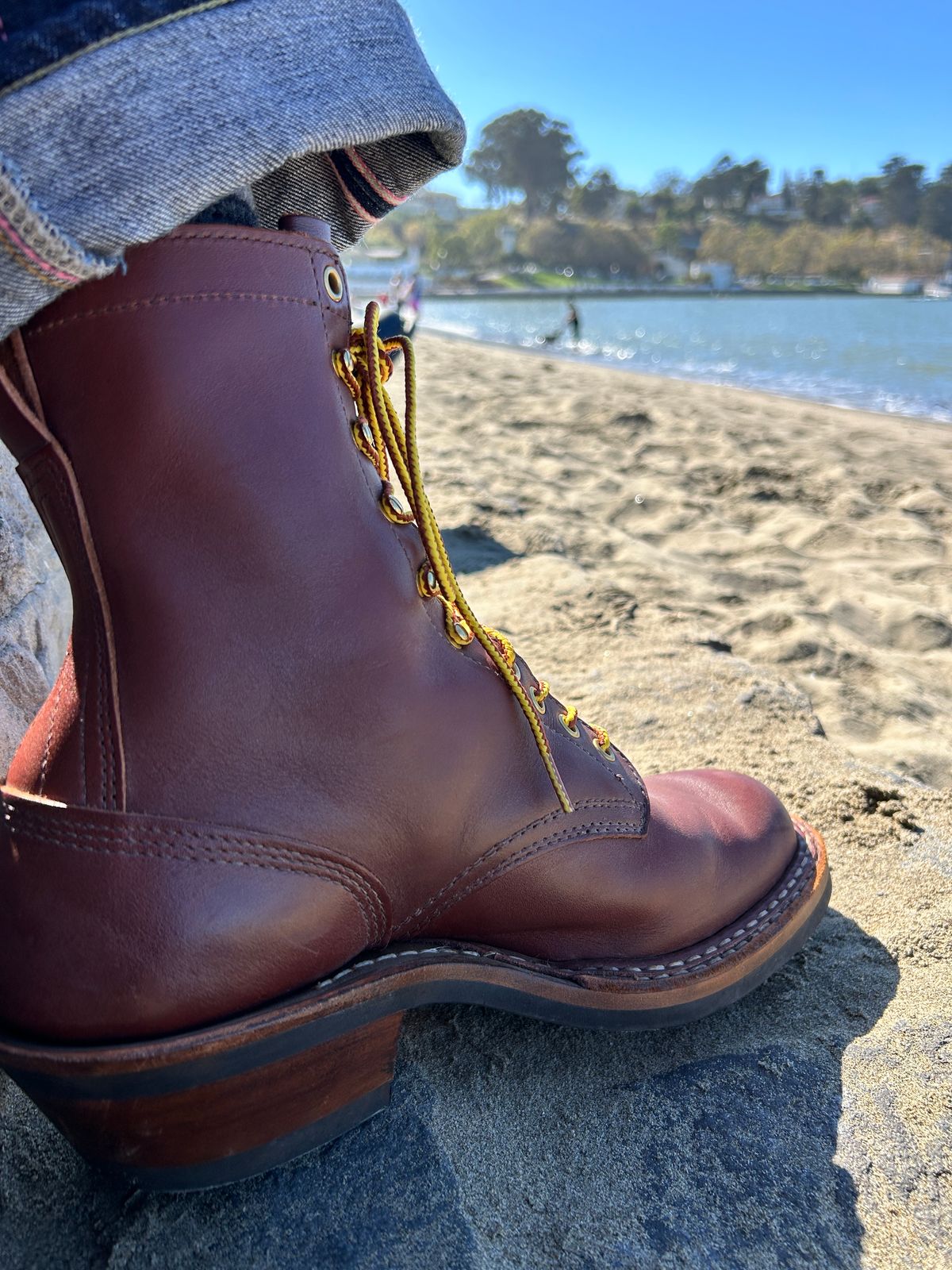 Photo by stepped_in_dookie_again on October 9, 2024 of the White's Packer in Seidel Red Dog Oil Tan.