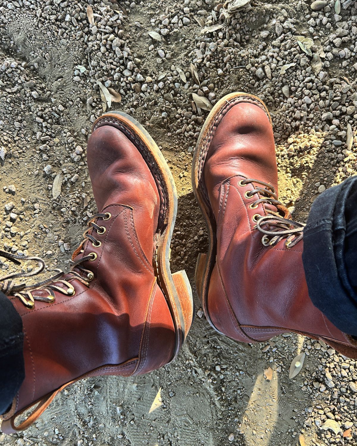 Photo by stepped_in_dookie_again on October 22, 2024 of the White's Packer in Seidel Red Dog Oil Tan.