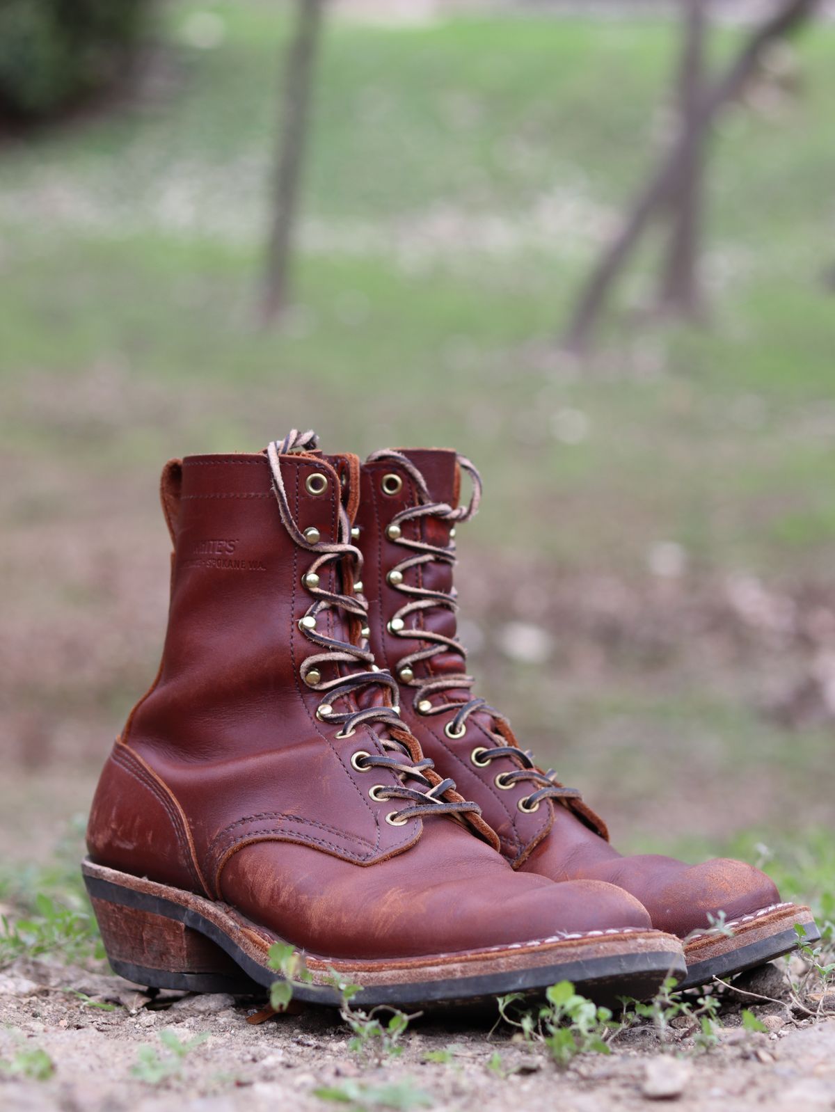 Photo by stepped_in_dookie_again on January 2, 2025 of the White's Packer in Seidel Red Dog Oil Tan.