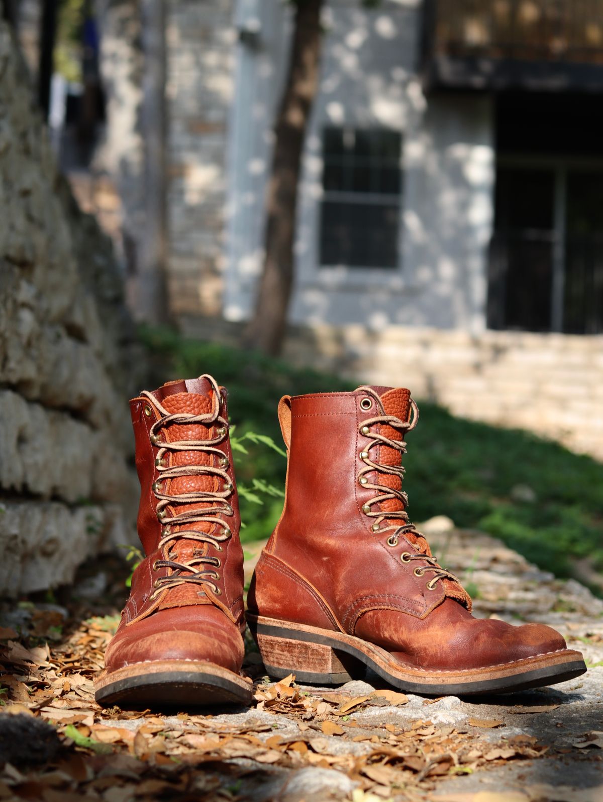 Photo by stepped_in_dookie_again on April 3, 2025 of the White's Packer in Seidel Red Dog Oil Tan.