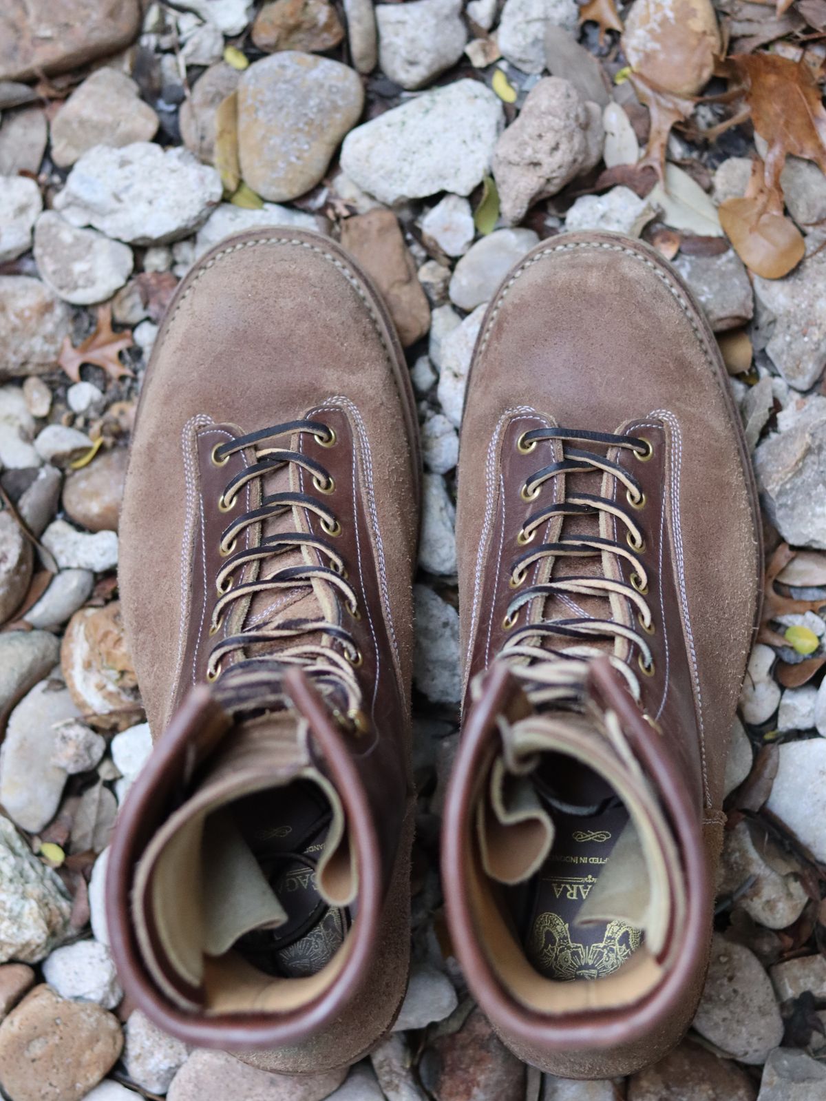 Photo by stepped_in_dookie_again on January 5, 2026 of the Sagara Valiant Old in Sagara Arborwax Amber Smooth & Sagara Arborwax Amber Reverse.