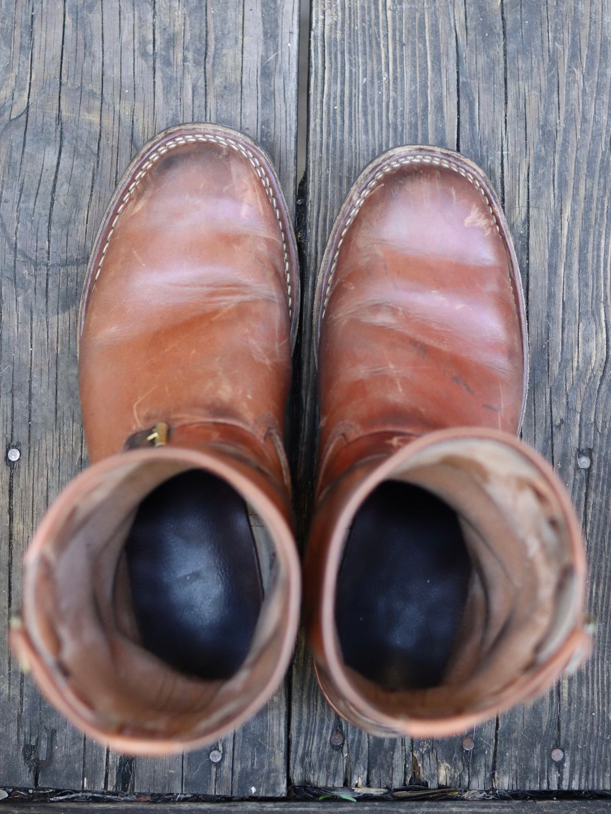 Photo by stepped_in_dookie_again on November 5, 2025 of the Wesco Mister Lou in Maryam Natural Horsebutt.