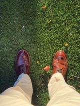 Alden Indy Boot in Horween Cigar Shell Cordovan