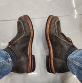 Shonest Tyrolean Shoe in C.F. Stead Storm Waxy Commander Suede