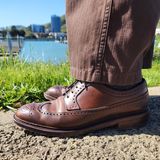Carmina Long Wing Blucher Shoes 532 in Horween Armagnac Shell Cordovan