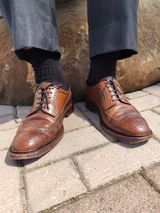Carmina Long Wing Blucher Shoes 532 in Horween Armagnac Shell Cordovan