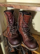 Frank's Front Range in Wickett & Craig Chestnut English Bridle