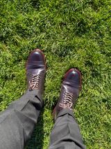 Alden Straight Tip Boot in Horween Color 8 Shell Cordovan