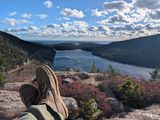 Rancourt & Co. Acadia Chukka Redux in C.F. Stead Driftwood Waxy Commander