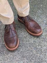 Oak Street Bootmakers Trench Oxford in Badalassi Carlo Nemesi Cotto