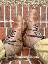 Viberg Service Boot in Maryam Taupe TPR Horsebutt
