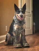 Bordon Tukano Boots in Wickett & Craig Olive H Latigo