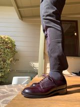 Alden Plain Toe Derby in Horween Color 8 Shell Cordovan