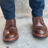 Briselblack Borneo in Shinki Cognac Shell Cordovan
