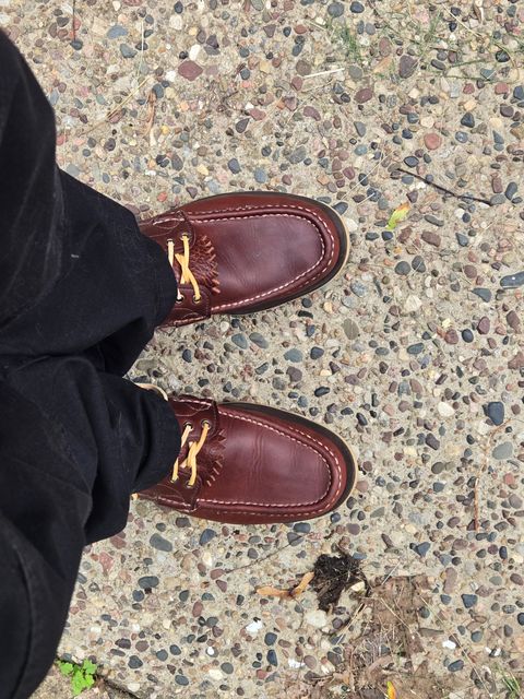 Photo by tdoellman on July 1, 2026 of the Russell Moccasin Co. Safari in S.B. Foot Walnut Timberjack & Olive Twill.