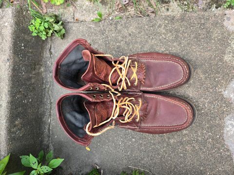 Photo by tdoellman on July 22, 2026 of the Russell Moccasin Co. Safari in S.B. Foot Walnut Timberjack & Olive Twill.
