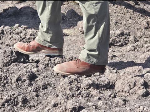 Photo by tdoellman on February 17, 2025 of the Alden Indy Boot in Brown Calfskin.