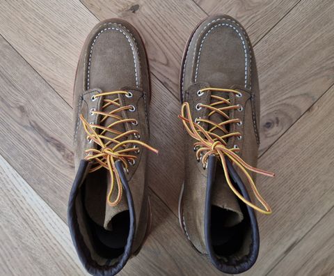 Photo by North on March 6, 2026 of the Red Wing 6-Inch Classic Moc in S.B. Foot Olive Mohave Roughout.