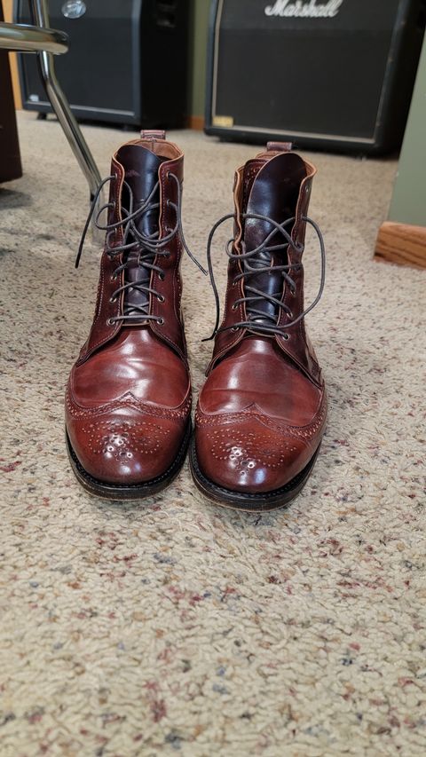 Photo by wizaxed on November 29, 2024 of the Allen Edmonds Dalton Wingtip Dress Boot in Horween Color 8 Shell Cordovan.