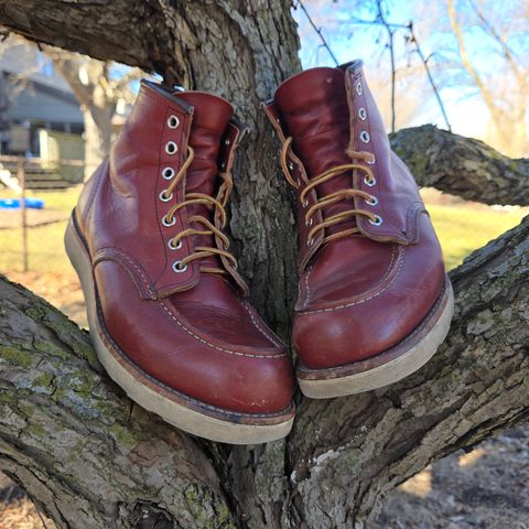 Photo by RabbitsOnTheMoon on March 8, 2026 of the Red Wing 6-Inch Classic Moc in S.B. Foot Oro-Russet Portage.