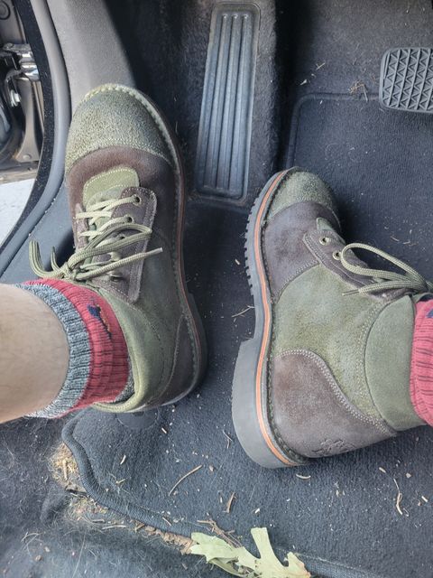 Photo by GrantR on September 12, 2025 of the Jim Green African Ranger in Jim Green / Rough Out Houston Green & Jim Green / Rough Out Houston Brown.