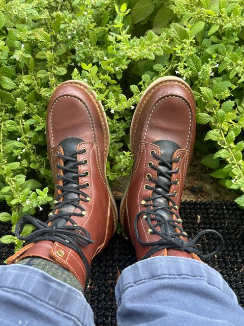 Photo by ZFitzGolf on July 21, 2026 of the White's Perry 8" in Seidel Red Dog Oil Tan.