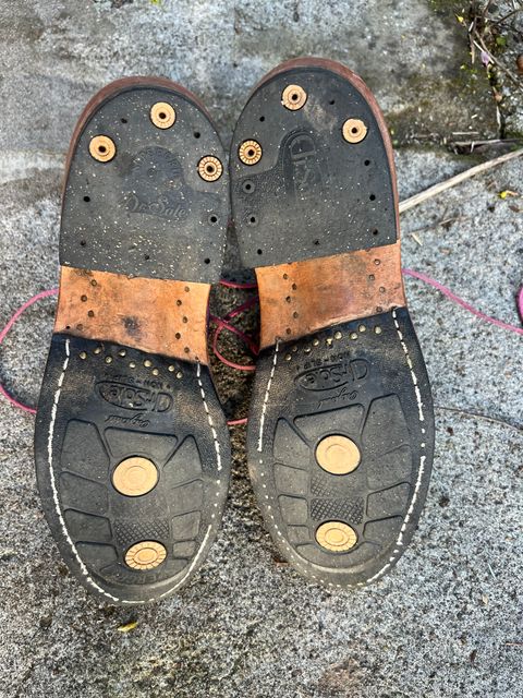 Photo by bobbi1981 on April 4, 2026 of the Frank's Boots Frontier Packer MTO in Horween Cypress Tokyo Purple.