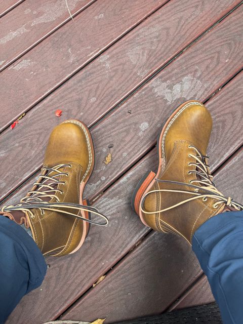 Photo by rioc45 on October 15, 2025 of the Nicks Robert in Gallun Caper Viking Calf.