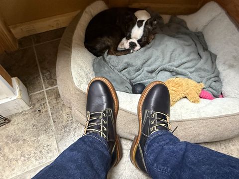 Photo by sweatpantszach on July 14, 2025 of the Truman Plain Toe Boot in Black Teacore.