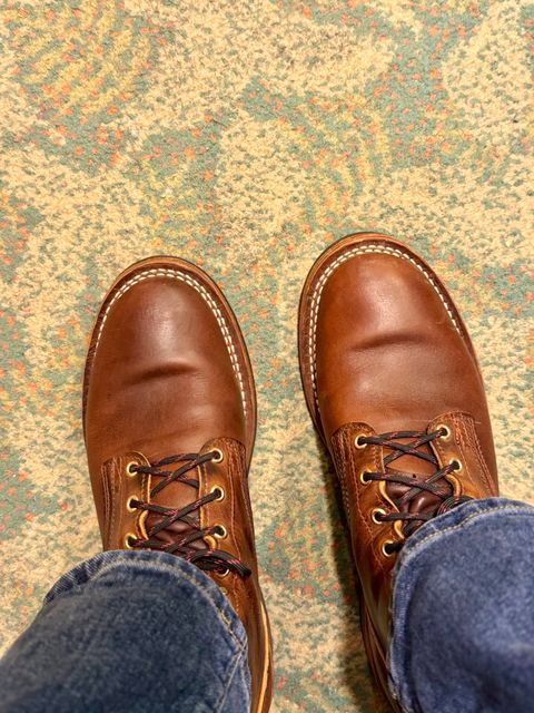 Photo by sjs426 on July 8, 2026 of the Nicks Falcon in Horween Orange Predator.