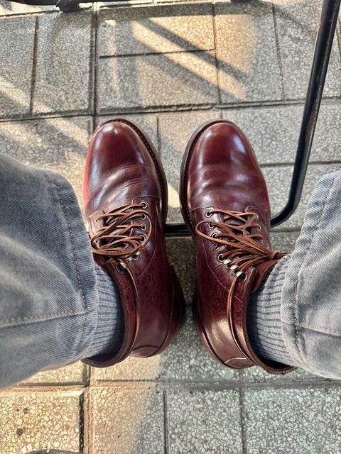 Photo by maxdam91 on January 17, 2026 of the Oak Street Bootmakers Trench Boot in Horween Color 8 Chromexcel.