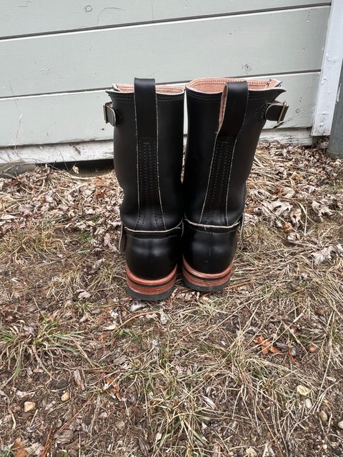 Photo by seanbear1 on January 5, 2025 of the Nicks StationMaster in Wickett & Craig Black English Bridle.