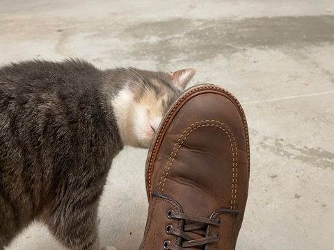 Photo by shoe_enjoy_myself on September 11, 2025 of the Alden Indy Boot in Horween Tobacco Smooth Chamois.