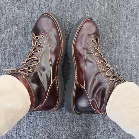 Photo by willygil on October 8, 2025 of the Danner Light in Horween Color 8 Shell Cordovan.