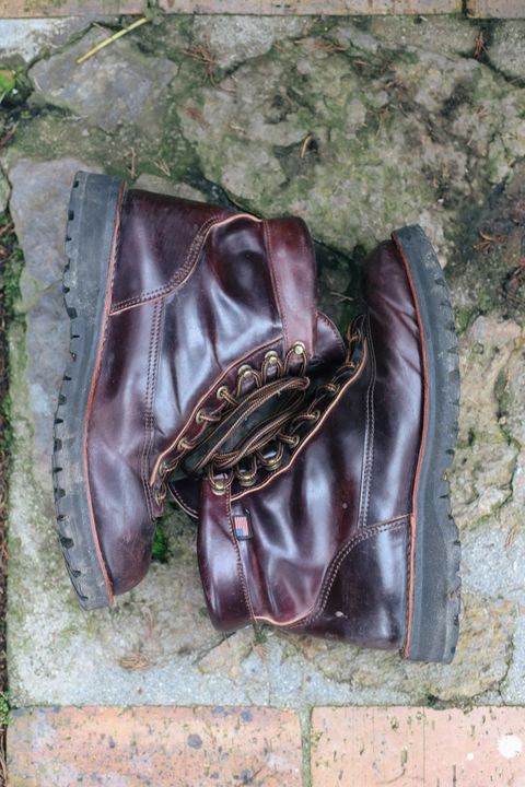 Photo by willygil on January 3, 2026 of the Danner Light in Horween Color 8 Shell Cordovan.