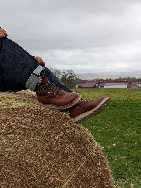 Photo by ADUMBTHEant on November 5, 2024 of the Nicks MTO in Seidel Peanut Tuscon Bison.
