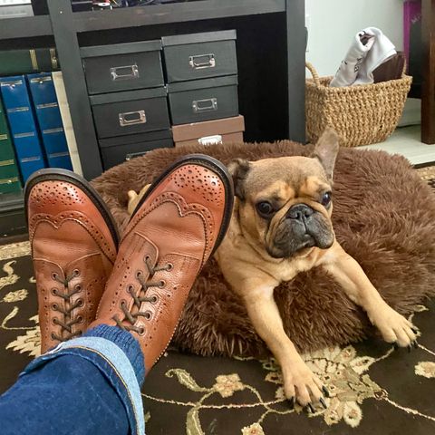 Photo by Colonel_Gringo on July 11, 2026 of the Tricker's Stow Country Boot in Sienna Olivvia Scotch Grain.